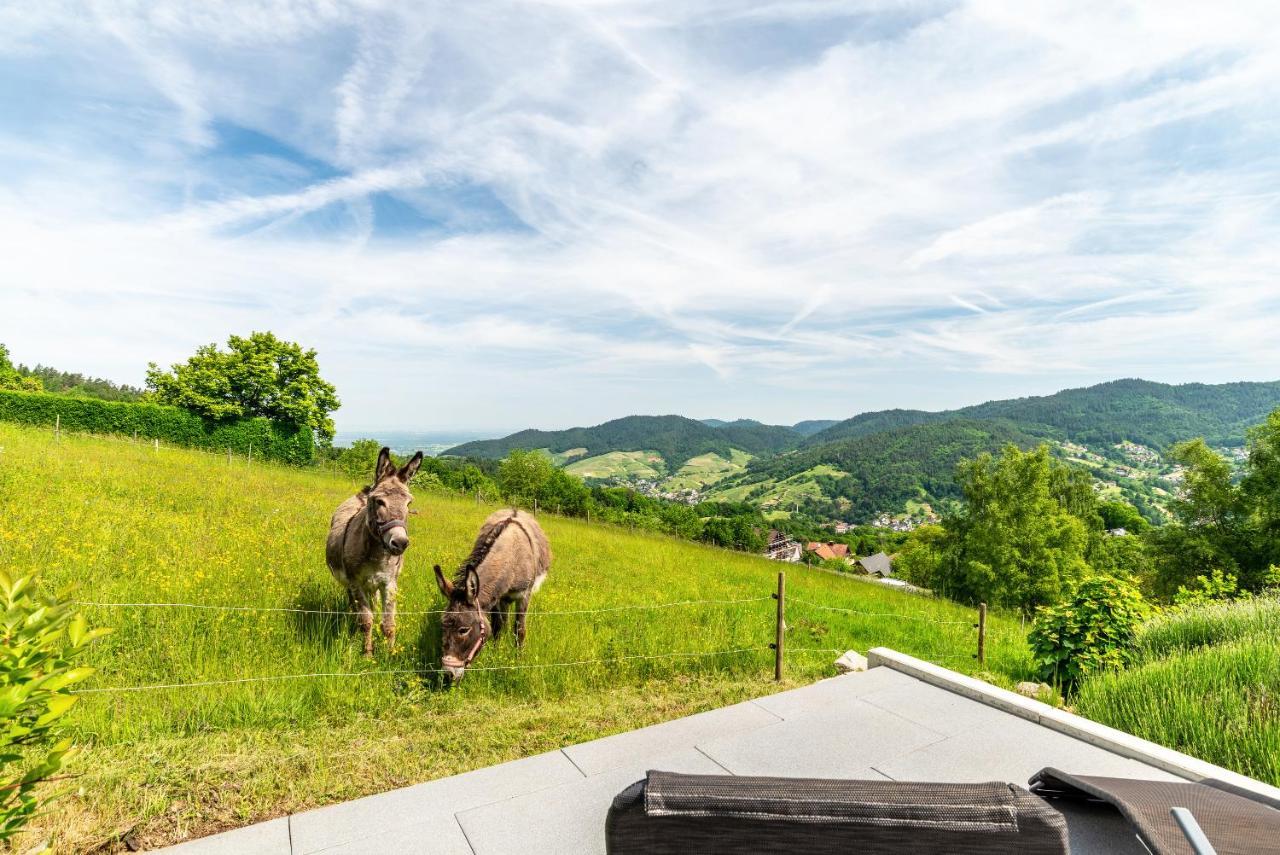 Merzel'S Schone Aussicht Buhlertal Exterior photo